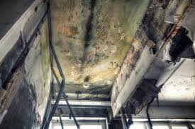 Best Real Estate Mold Inspection  in Kadelphia, AR